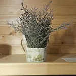 Ladybug Holiday home Mojstrana