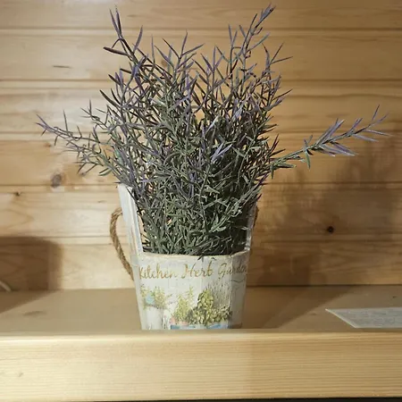 Ladybug Сasa de vacaciones Mojstrana