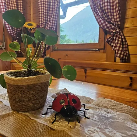 Ladybug
